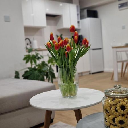 Apartament Na Skalkach Jelenia Gora Dış mekan fotoğraf