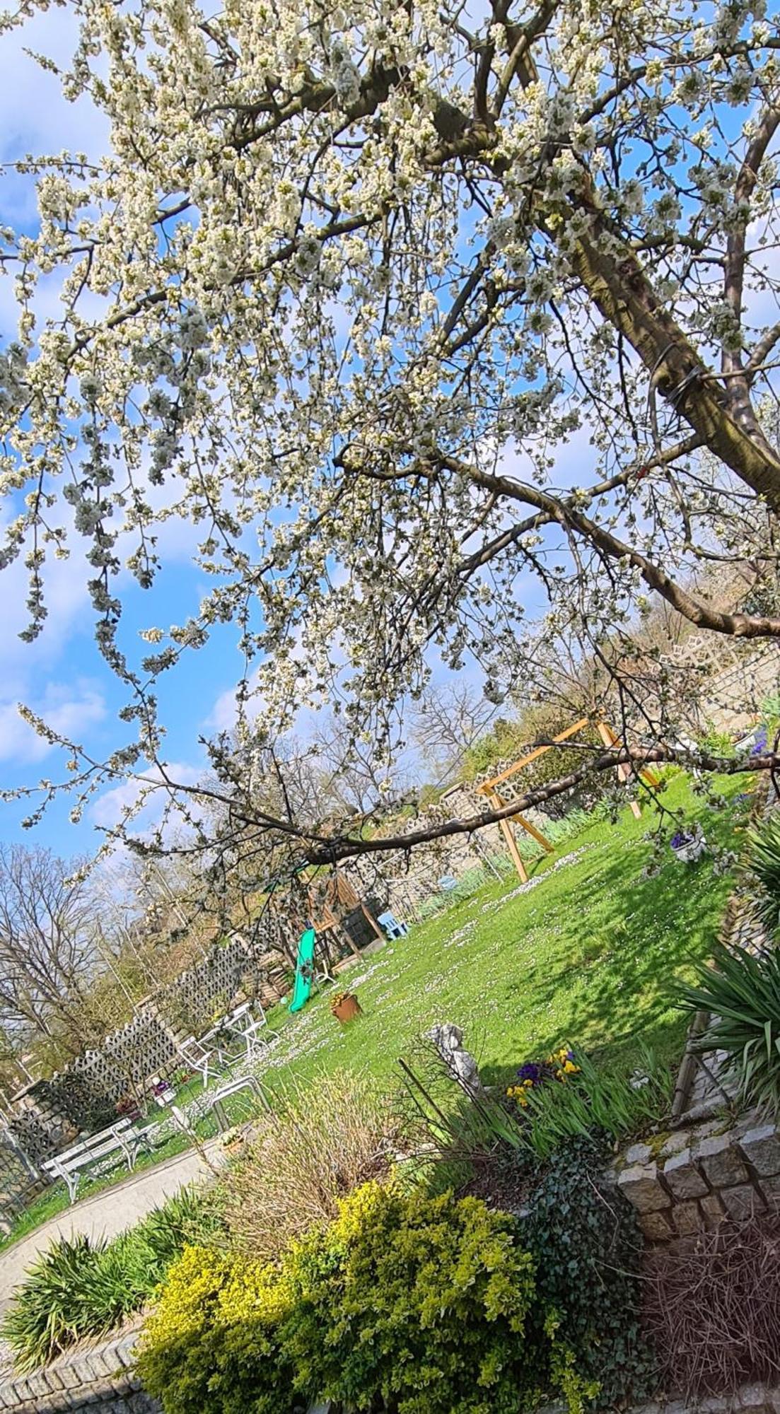 Apartament Na Skalkach Jelenia Gora Dış mekan fotoğraf