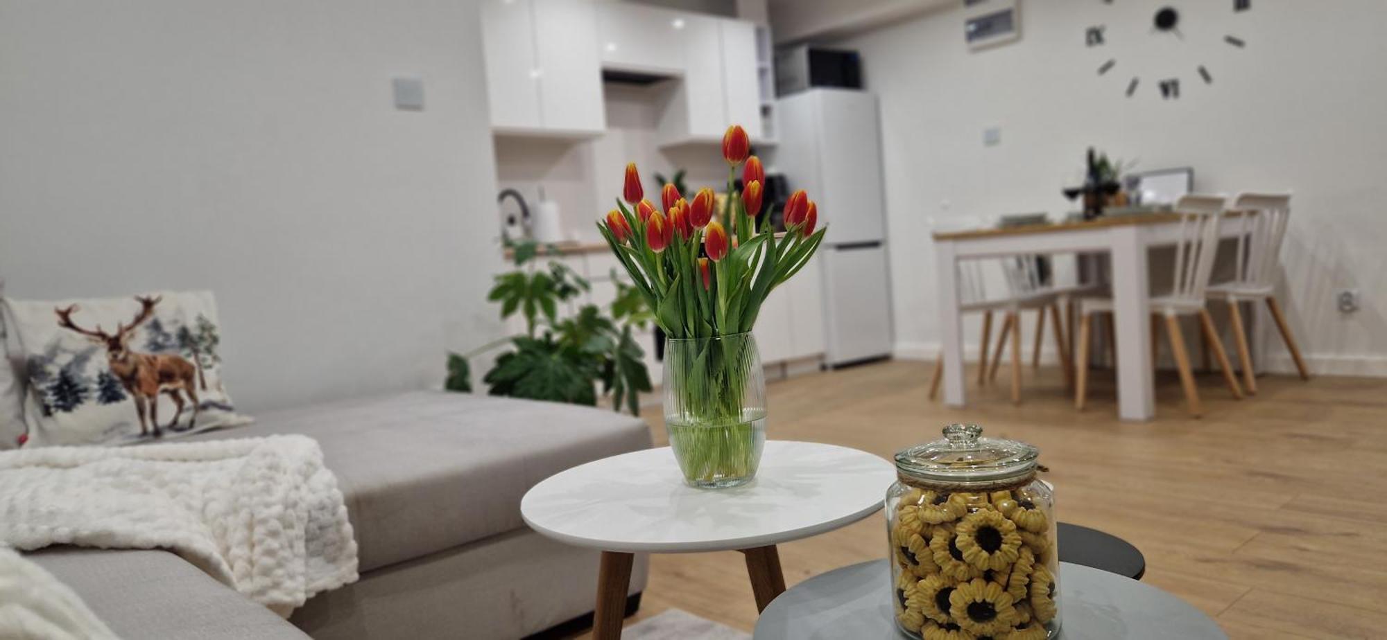 Apartament Na Skalkach Jelenia Gora Dış mekan fotoğraf